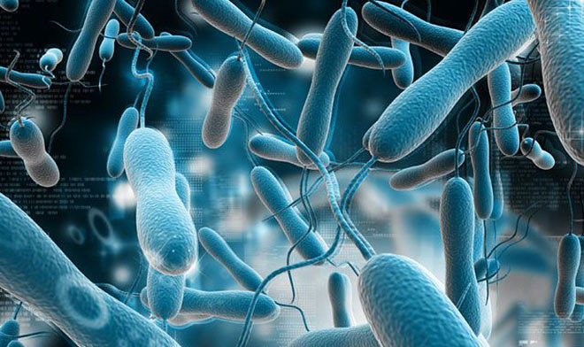 В Новосибирске разработали тесты для оперативного выявления коклюша