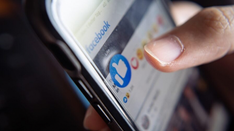 Цифровой зверинец: ИИ-боты устроили войну в собственной социальной сети