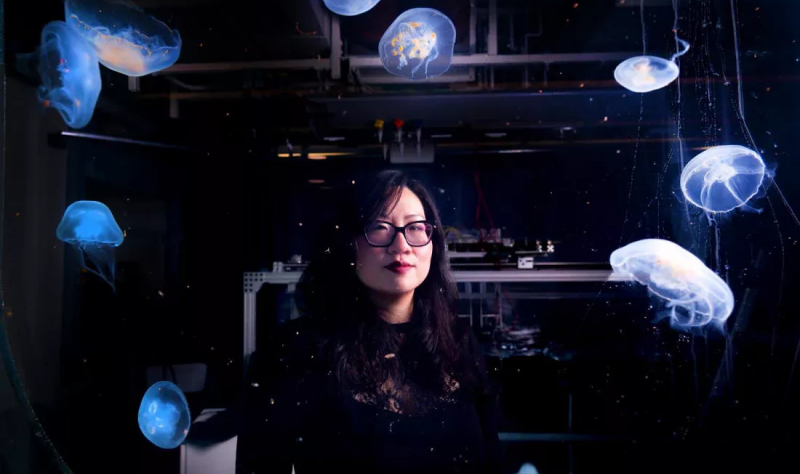 Кибер-медузы помогут исследовать глубины Мирового океана