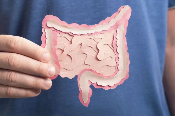 Кишечник человека оказался «рекордсменом» по эволюции