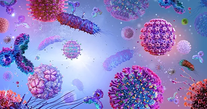 Раскрыта роль генов, унаследованных нами от&nbsp;древних вирусов