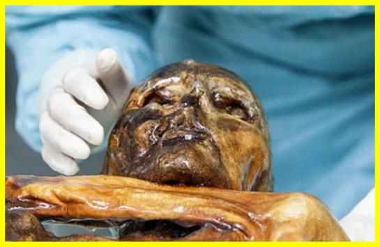 Тайна Ледяного человека: генетическое исследование выявило