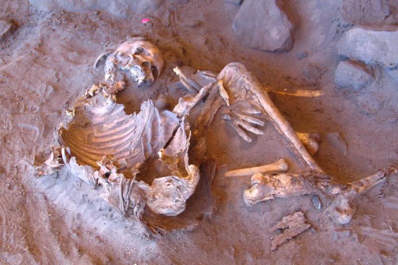 Затерянный мир «Зелёной Сахары»: ДНК 7000-летних мумий указала на неизвестную ветвь человечества