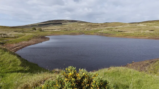 Лохэрима: &laquo;Исчезающее озеро&raquo; в Северной Ирландии, которое опустошается и наполняется за считанные часы