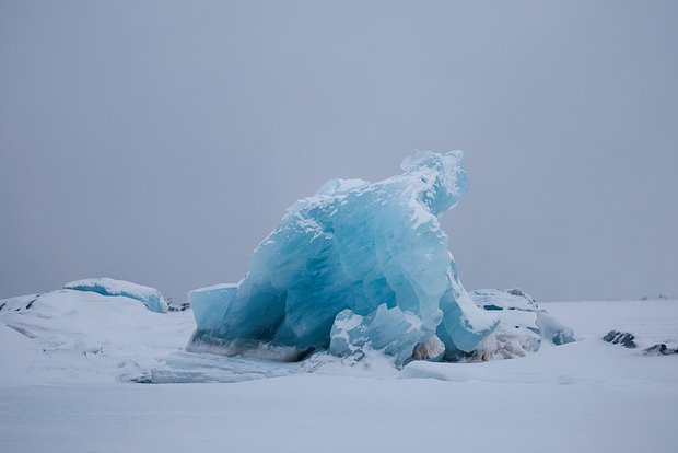 Внутри арктического льда обнаружены удивительные организмы