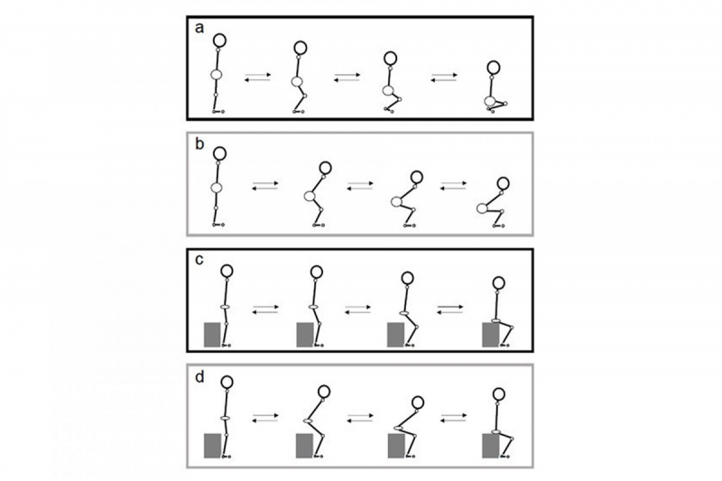 Всего 5 минут &laquo;самурайских приседаний&raquo; в день увеличивают силу коленей на 26&nbsp;%