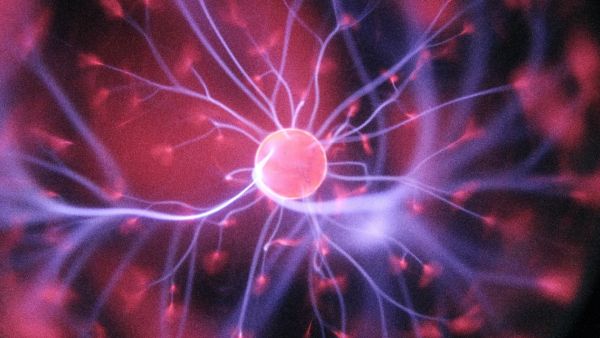 Американские ученые обнаружили шестое чувство у человека