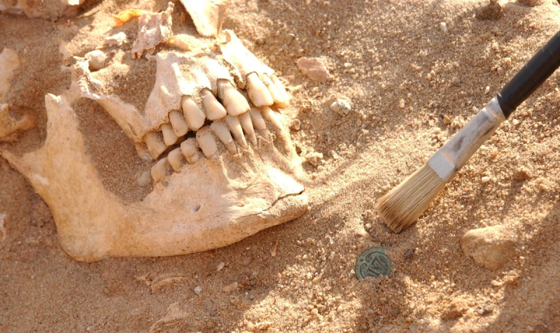 Армию Наполеона в России погубил не мороз