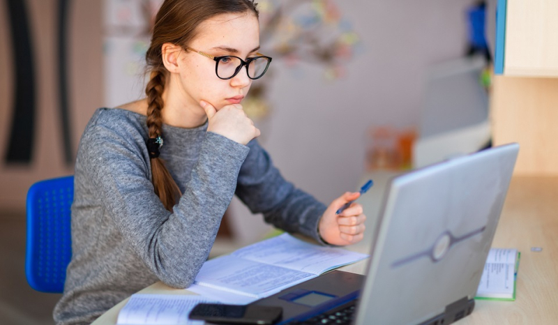 Дистанционное обучение в школе: эффективная подготовка к ОГЭ и ЕГЭ в новых реалиях