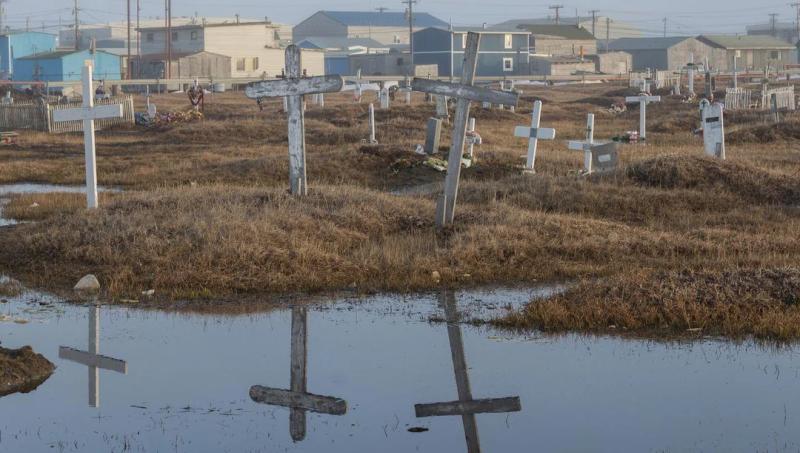 Пробуждение из ледяного плена: в Аляске ожили древние организмы, пролежавшие в вечной мерзлоте 40 000 лет