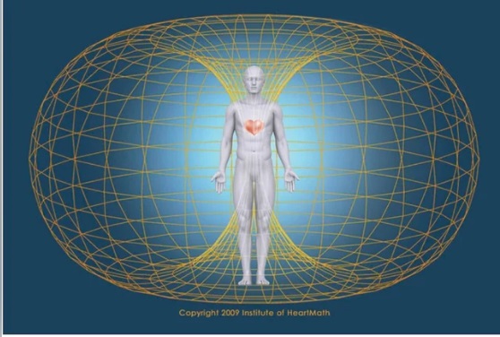 Сердце как врата интуиции: научные данные о том, как главный орган чувств общается с мозгом и предвосхищает будущее