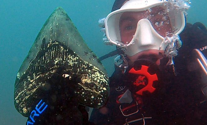 Дайвер нашел и протестировал на прочность зуб мегалодона. Размером 20 см и острый как нож даже спустя миллионы лет