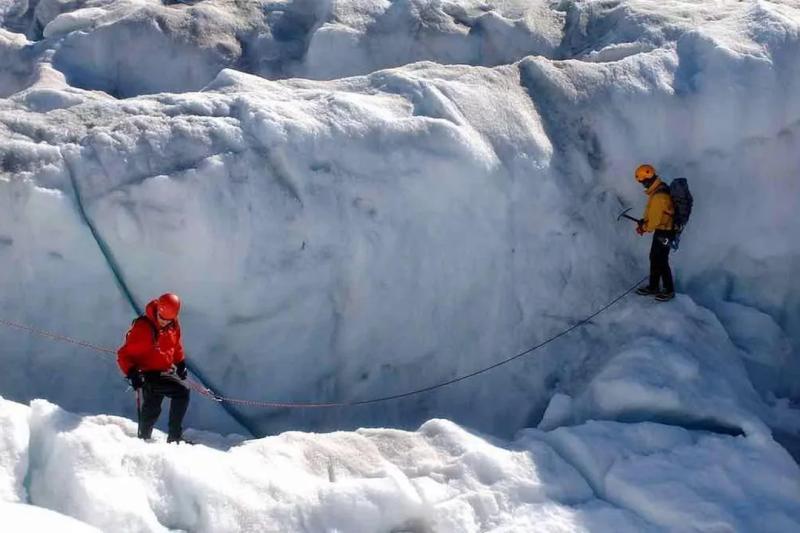 Подо льдами Антарктиды учёные обнаружили реку и существ, похожих на лобстеров