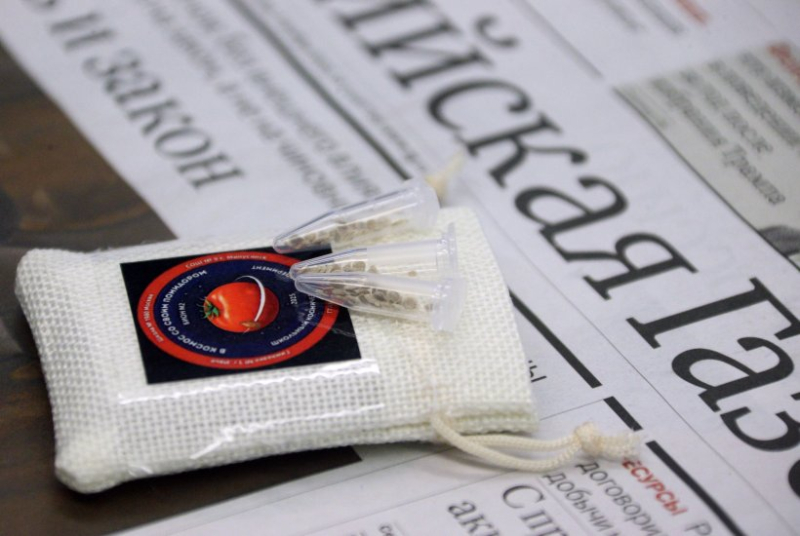 У побывавших на орбите тритонов отросли лапы и хвосты