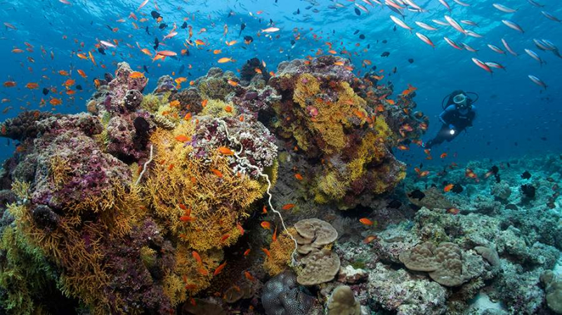 Ученые доказали существование микробов в смертельно щелочной среде