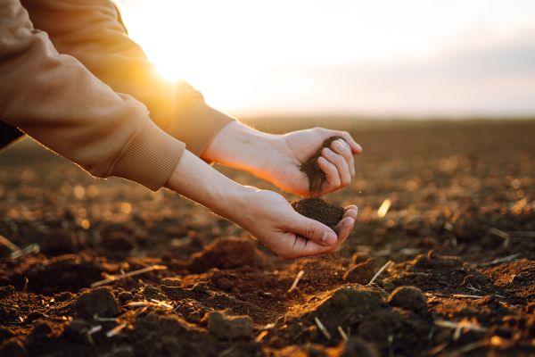 Ученые впервые обнаружили у земли память