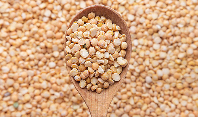 В Казани придумали, как улучшить урожайность озимых сортов пшеницы