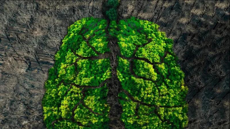 Жизнь на Земле оказалась на миллиард лет старше чем считалось