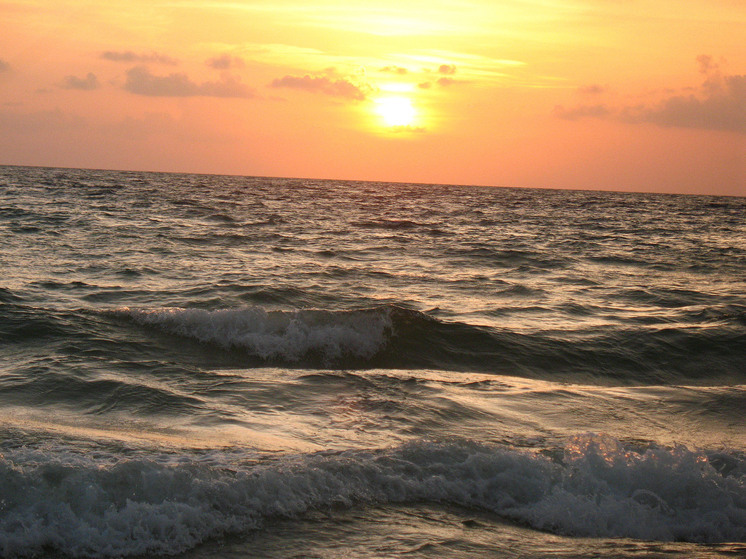 Исследователи обнаружили в Антарктиде «шар смерти»