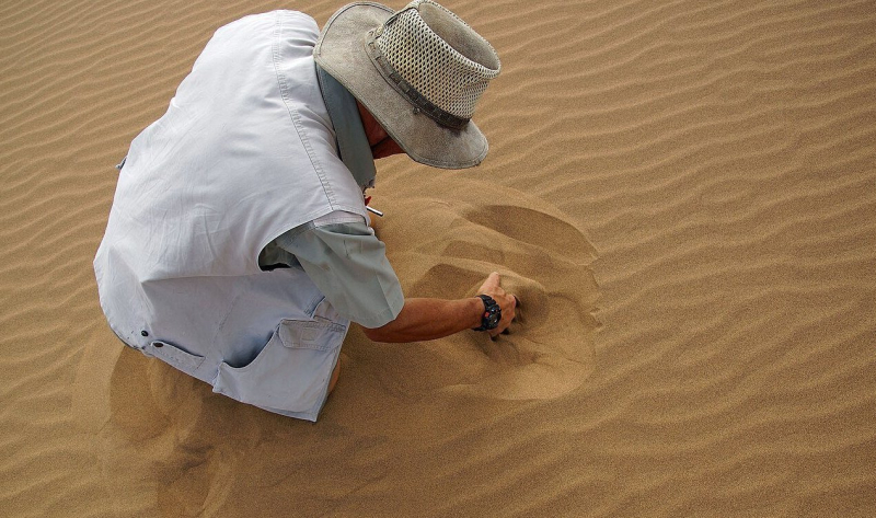 Люди обладают &laquo;шестым чувством&raquo; для поиска предметов под землей