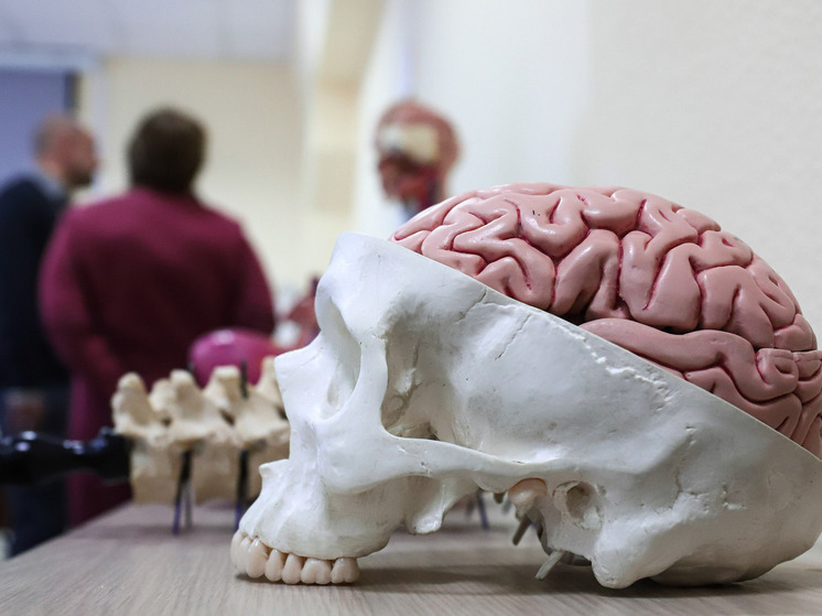 Ученые сделали неожиданное заявление о разнице старения мужчин и женщин