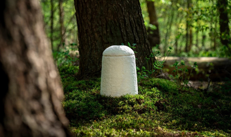 В Голландии разработали первый в мире биоразлагаемый гроб из грибов