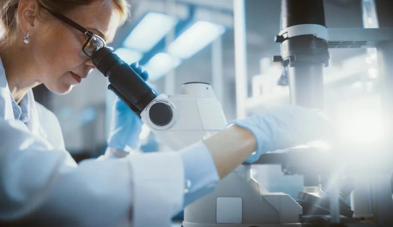 Робота размером менее 1 мм создали ученые. Он может чувствовать, думать и принимать решения