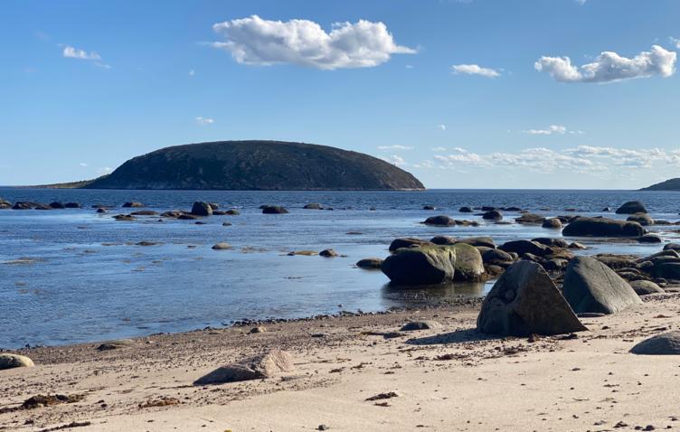 Загадки Белого моря: как карельские ученые искали лабиринты, а нашли древние скульптуры