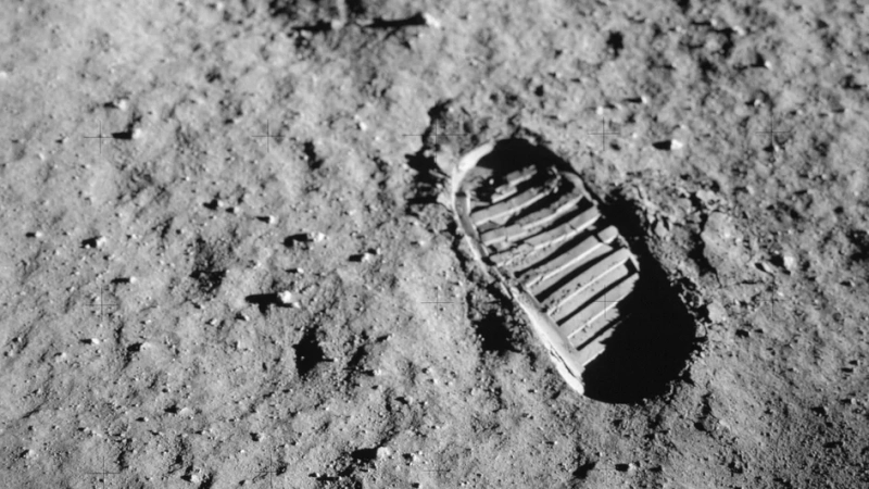 Названо первое растение, которое будут выращивать на Луне