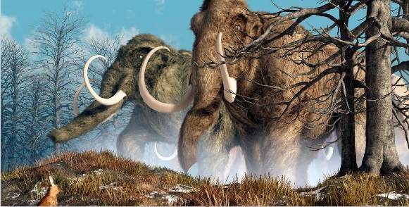 Шерстистый мамонт возвращается: американские биотехнологи обещают воскресить вымерший вид к 2028 году
