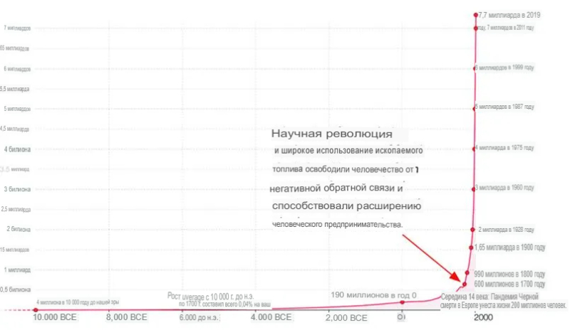 Города — это интенсивные животноводческие системы, а люди в них — скот