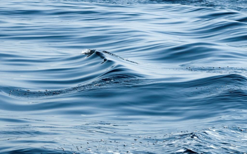 В Канаде в шахте обнаружили воду возрастом 2 млрд лет