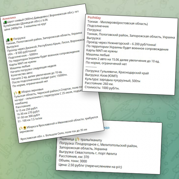 "Было украинское, стало русское". Кто и как вывозит из Украины зерно