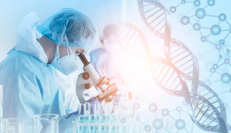 Британские ученые создали человеческую клетку с искусственной хромосомой