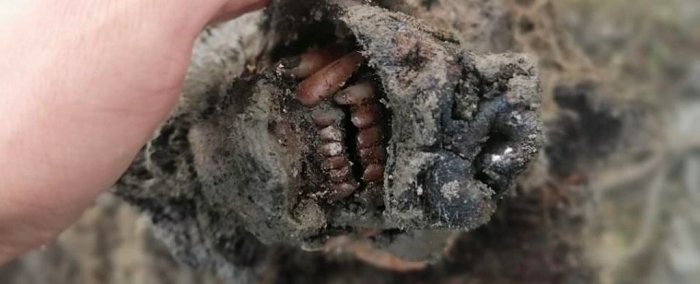 Древние гигантские медведи жили в Сибири всего три тысячи лет назад