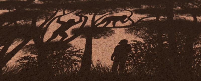 Древний предок человека ходил на двух ногах 7 миллионов лет назад, выяснили ученые