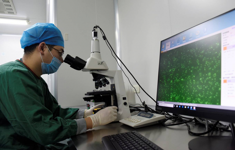 Мужская фертильность снижается во всем мире. Что случилось и как с этим быть?