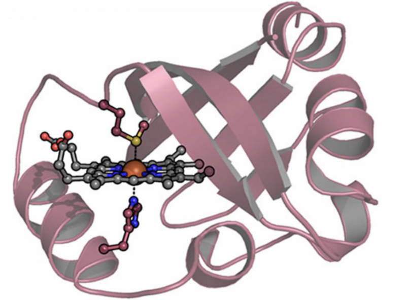 Первый в мире антидот очистит кровь от угарного газа за считанные минуты