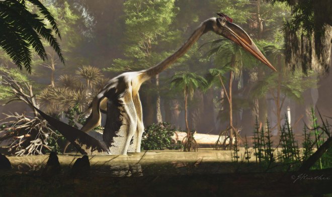 Самое крупное летающее существо в&nbsp;истории Земли летать совершенно не&nbsp;любило 