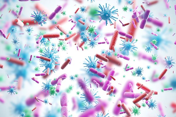 SСМР: 125 различных вирусов могут передаваться людям от&nbsp;мертвых животных