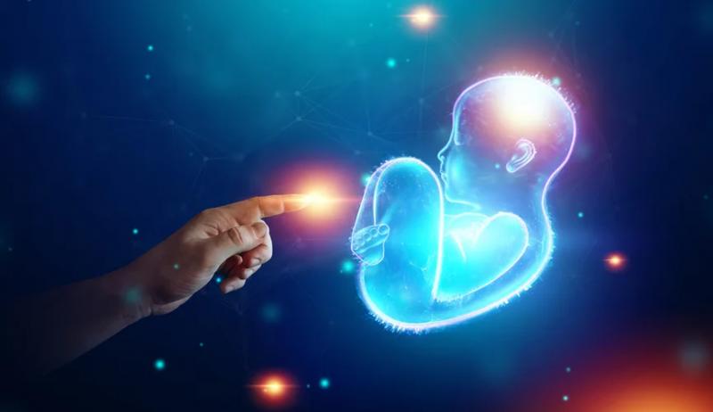 Ученые создали искусственный живой организм, способный размножаться