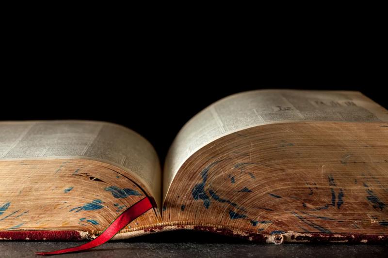 Утерянный фрагмент перевода Библии возрастом 1750 лет найден внутри манускрипта Ватиканской библиотеки