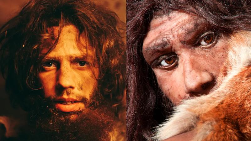 В чем разница между Homo Sapiens и неандертальцами?