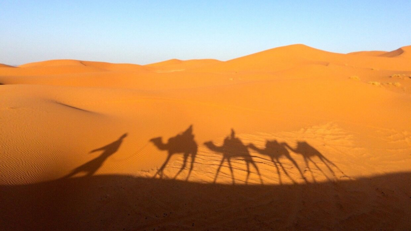 В Южно-Африканской пустыне Калахари обнаружен тысячелетний тайник